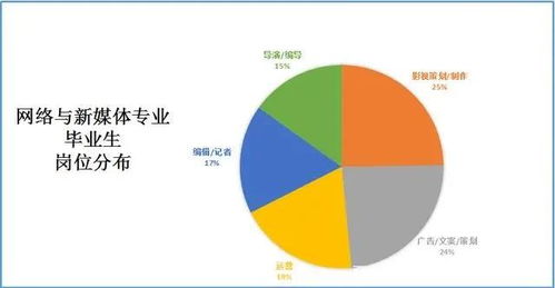 重慶考生志愿填報指南 數字媒體與數字文化創意內容應用服務專業解析